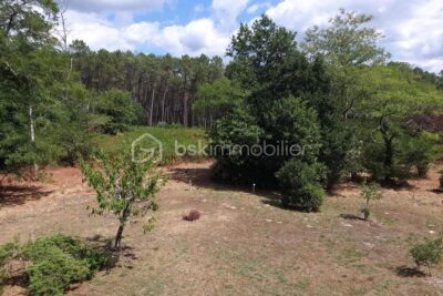 Maison familiale avec piscine et dépendances à Onesse-et-Laharie (40110) – 4 pièces – 3 chambres – 117 m²