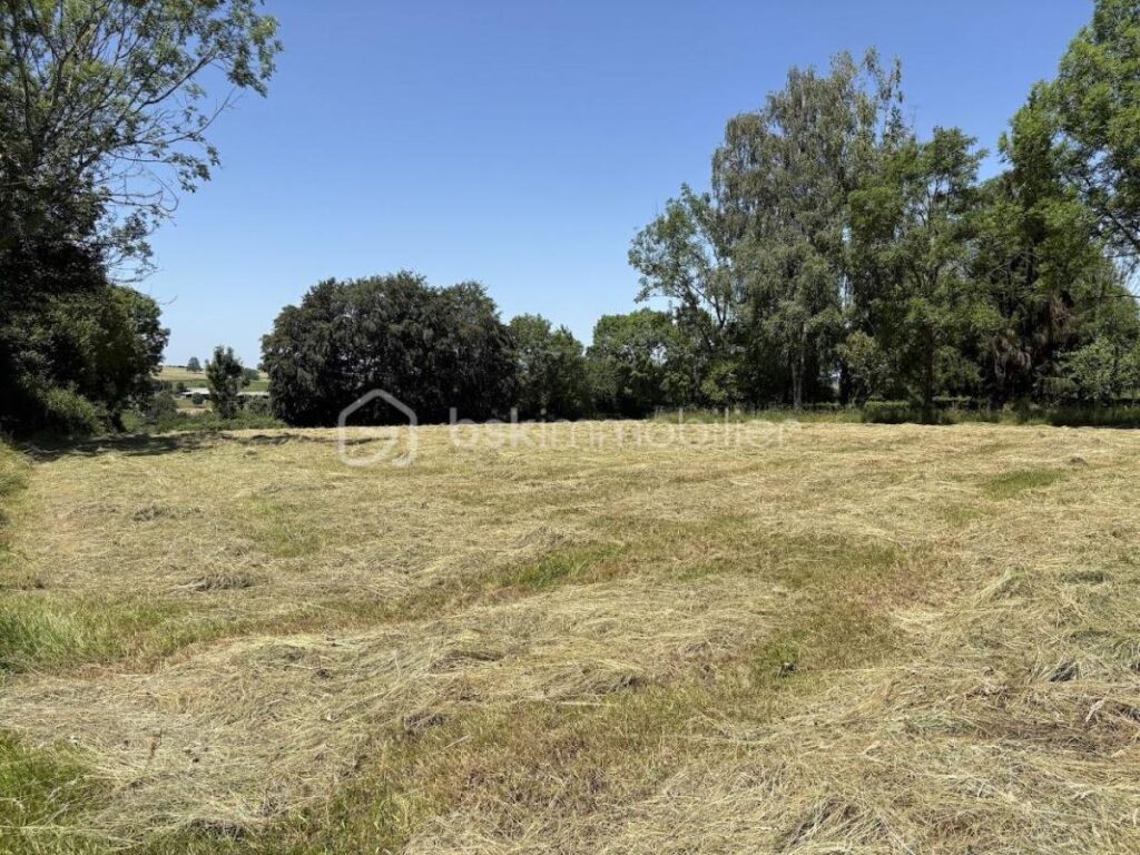 Maison T6 Corps de Ferme à Cieutat – 14 pièces – 5 chambres – 290 m²