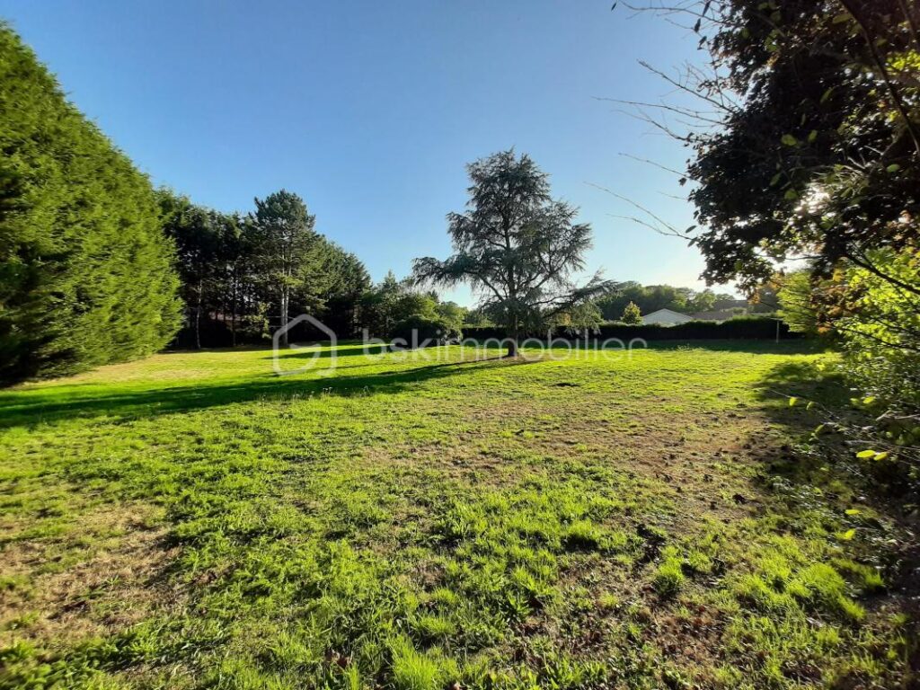 Terrain constructible de 2788 m² – Cognac-la-Forêt 87310 – NR pièces – NR chambres – 2788 m²