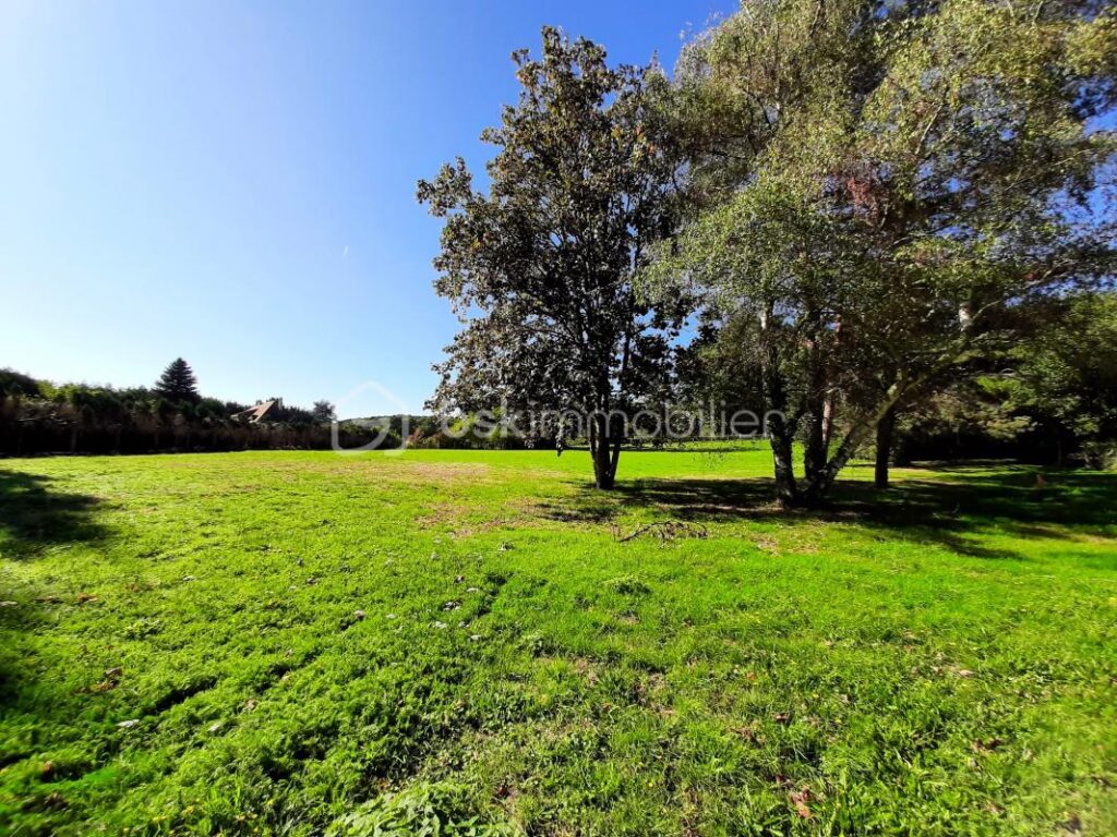 Terrain constructible de 4690 m² – Cognac-la-Forêt 87310 – NR pièces – NR chambres – 4690 m²