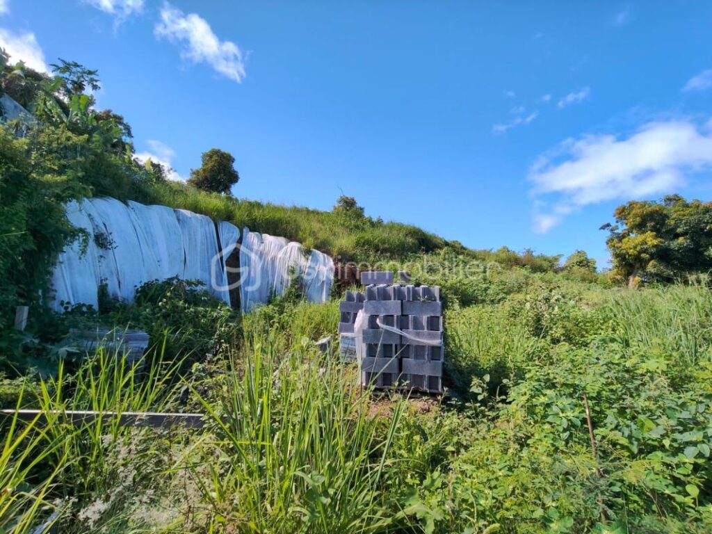 Secteur Pichette – Terrain à bâtir de 508m² avec vue mer – NR pièces – NR chambres – 508 m²