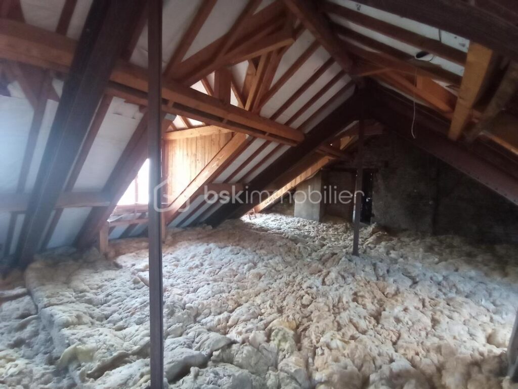 DANS MAISON, COMBLES AMENAGEABLE DANS SITE MAGNIFIQUE, EXPO.SUD, VUE PANORAMIQUE SUR LA LOUE!!!! – 1 pièce – NR chambres – 200 m²