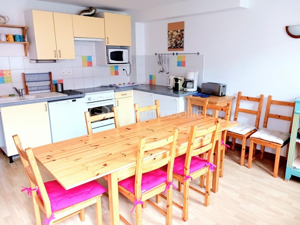 Gîte prés des pistes du plateau de Beille – 10 pièces – 6 chambres – 280 m²