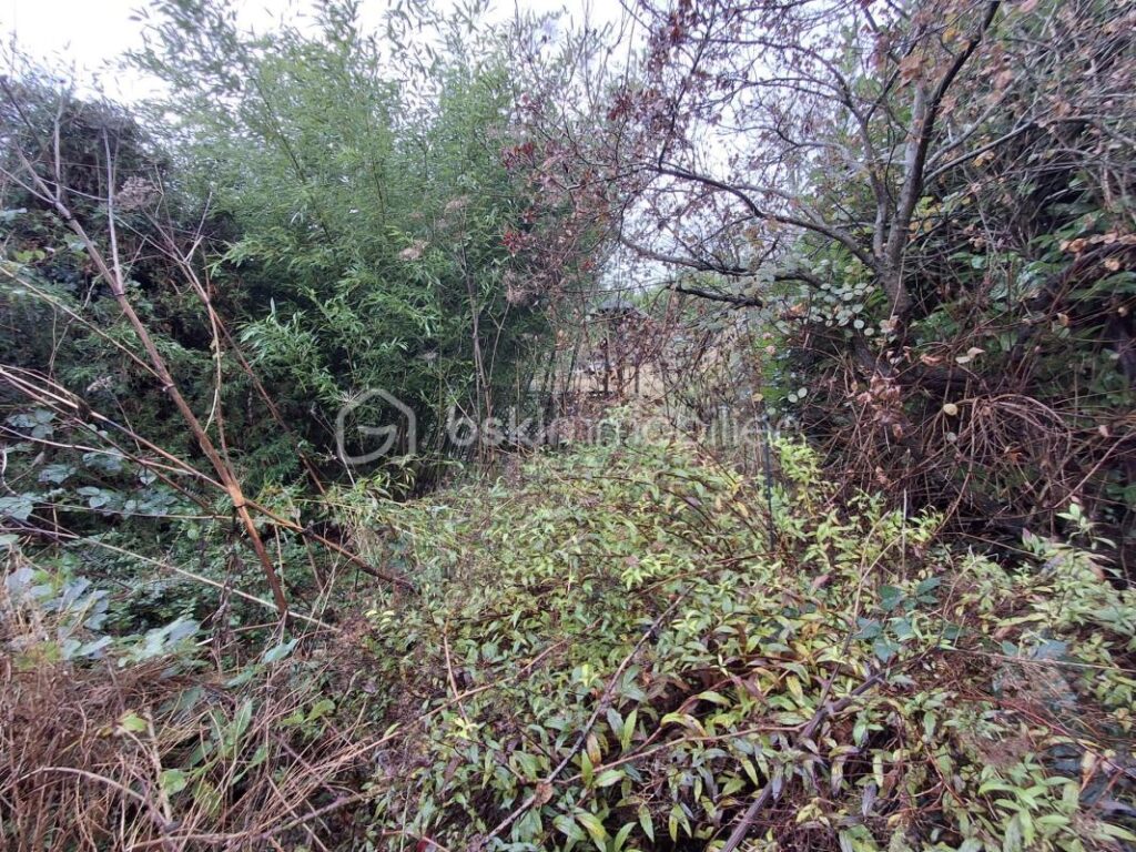 ***CHARMANTE MAISON ANCIENNE 3 CHAMBRES 115 M2 HAB SUR BEAU JARDIN 650 M2 AUX PORTES DE DIEPPE*** – 6 pièces – 3 chambres – 115 m²