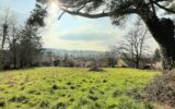 Terrain 2390 m² à Montrol-Sénard – NR pièces – NR chambres – 2390 m²