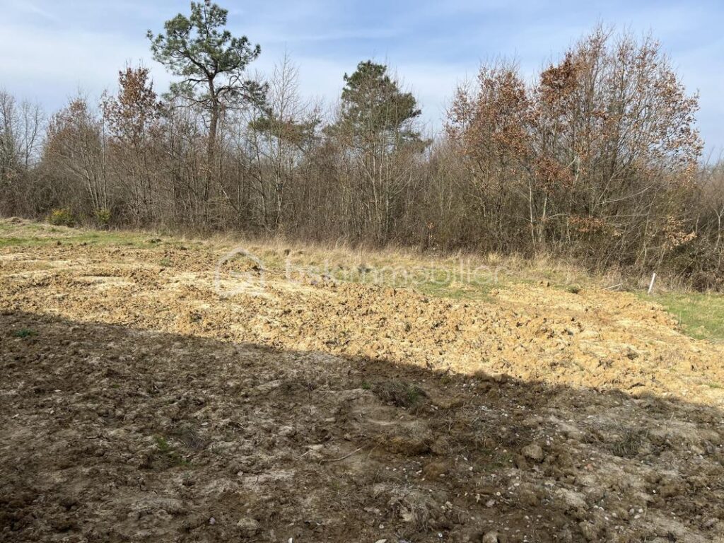 exclusivité – 4 pièces – 2 chambres – 71 m²