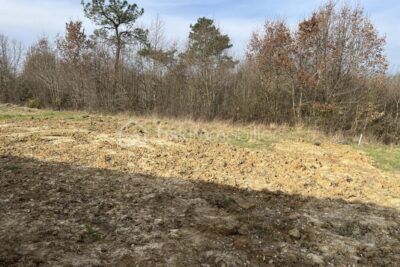 exclusivité – 4 pièces – 2 chambres – 71 m²