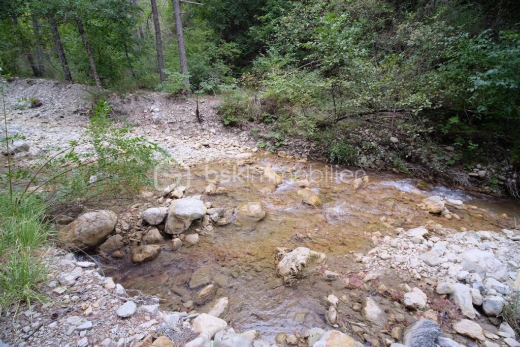 Chalet récent en bois au bord de la rivière sur un terrain plat de 5 460 m² – 3 pièces – 2 chambres – 70 m²