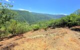 Terrain constructible de 1 605 m² – Vue panoramique – Pierrefeu (06910) À seulement 45 minutes de Nice, dans un cadre naturel privilégié – NR pièces – NR chambres – 1605 m²