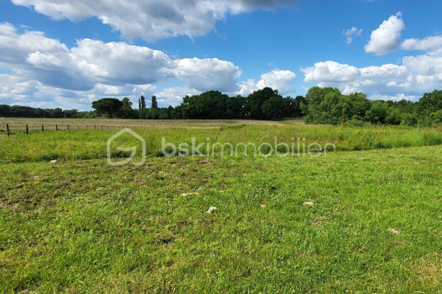 Maison à vendre à Aire sur l adour