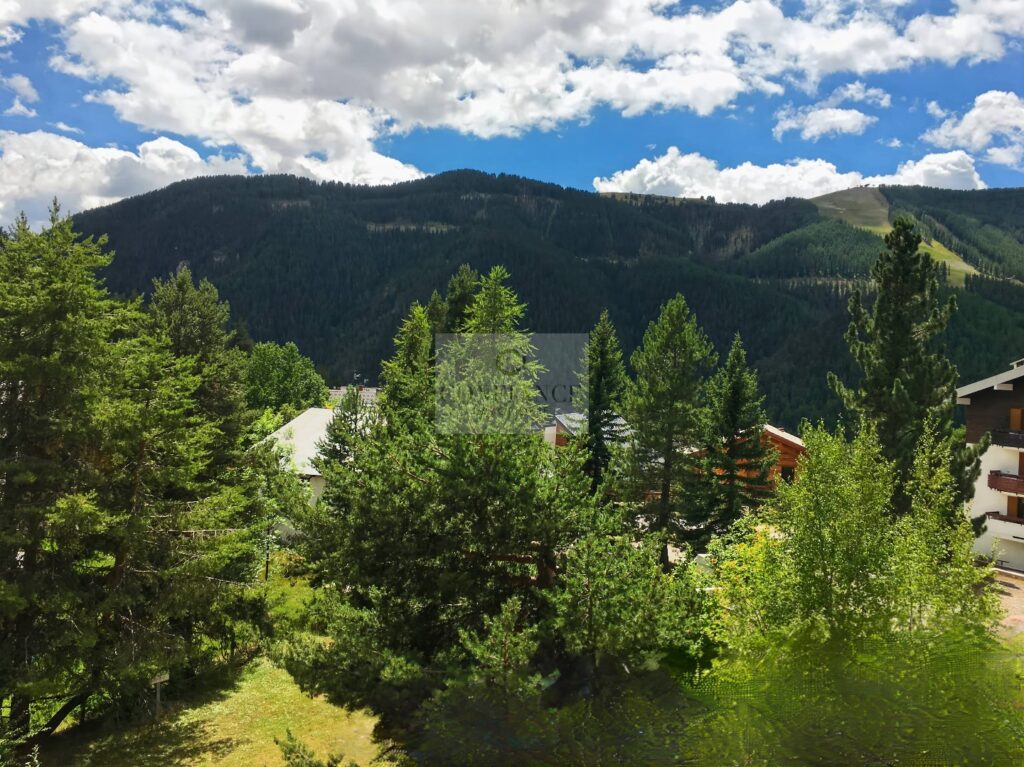 Appartement – 2 pièces – 1 chambre – 31 m²