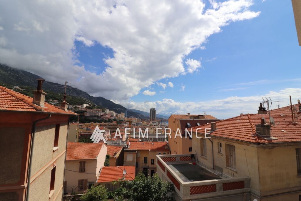 Beausoleil secteur Moneghetti, Joli studio meublé à deux pas d – 1 pièce – NR chambres – 24.04 m²