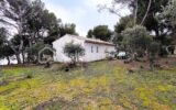 Magnifique maison sur une grande parcelle avec une dépendance et un garage , au bord de la plage de l’étang de Berre , sur Saint-Chamas – 4 pièces – 3 chambres – 127 m²