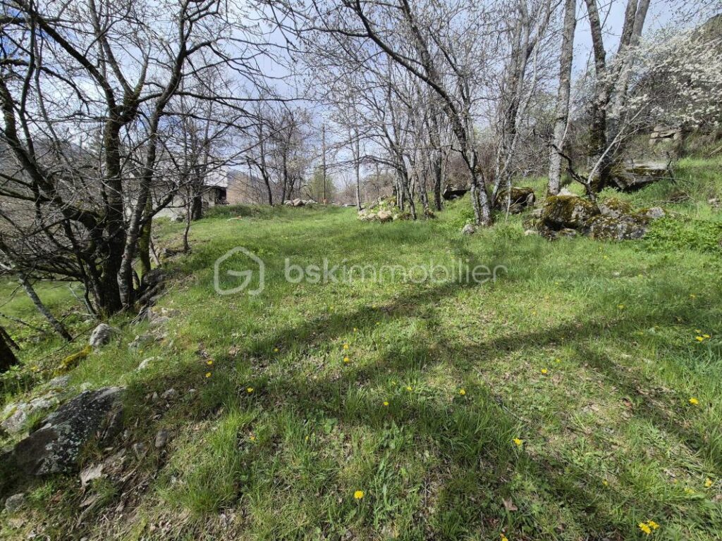 Terrain constructible ET viabilisé à Beauvezer/Villars Heyssier – 1 477 m² – NR pièces – NR chambres – 1477 m²