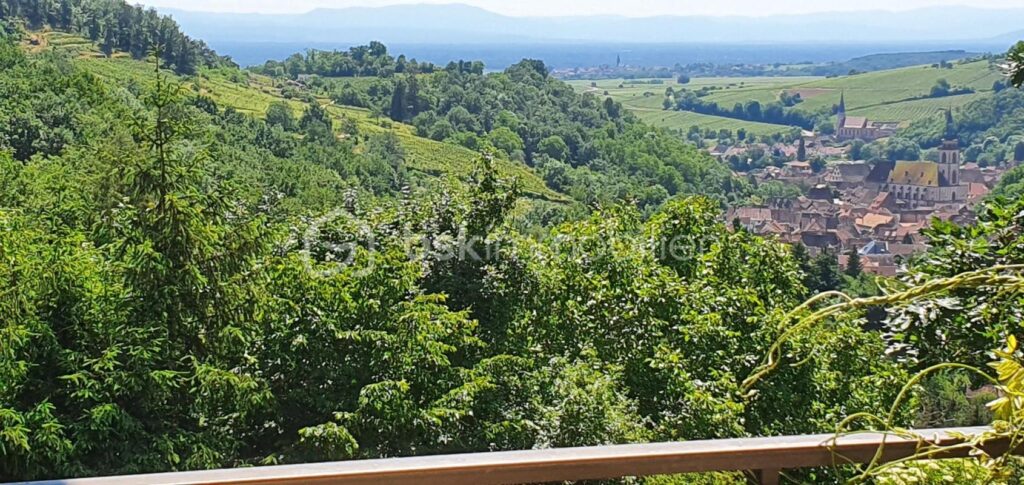 Belle propriété à vendre sur la commune d’Andlau – 7 pièces – 3 chambres – 312 m²