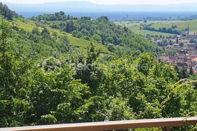 Belle propriété à vendre sur la commune d&rsquo;Andlau – 7 pièces – 3 chambres – 312 m²