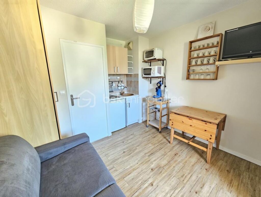 Studio Cabine 20m² avec Balcon et Vue Montagne – Le Seignus (Allos) – 1 pièce – NR chambres – 20 m²