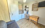 Studio Cabine 20m² avec Balcon et Vue Montagne – Le Seignus (Allos) – 1 pièce – NR chambres – 20 m²