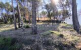 Achat terrain constructible de 350 m2 , avec une belle vue sur le Luberon , hors lotissement – NR pièces – NR chambres – 350 m²