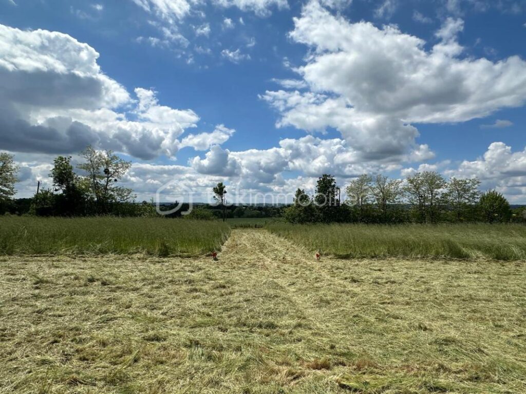 Beau terrain vue Pyrénées à Escalquens – NR pièces – NR chambres – 1094 m²