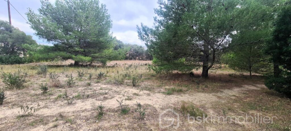 RARE- TERRAIN CONSTRUCTIBLE AVEC VUE++ – NR pièces – NR chambres – 1220 m²