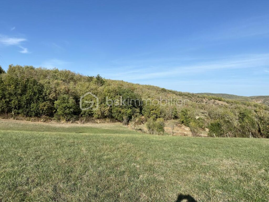 Terrain à batir de 1178m2 sur la commune de bruniquel – NR pièces – NR chambres – 1178 m²