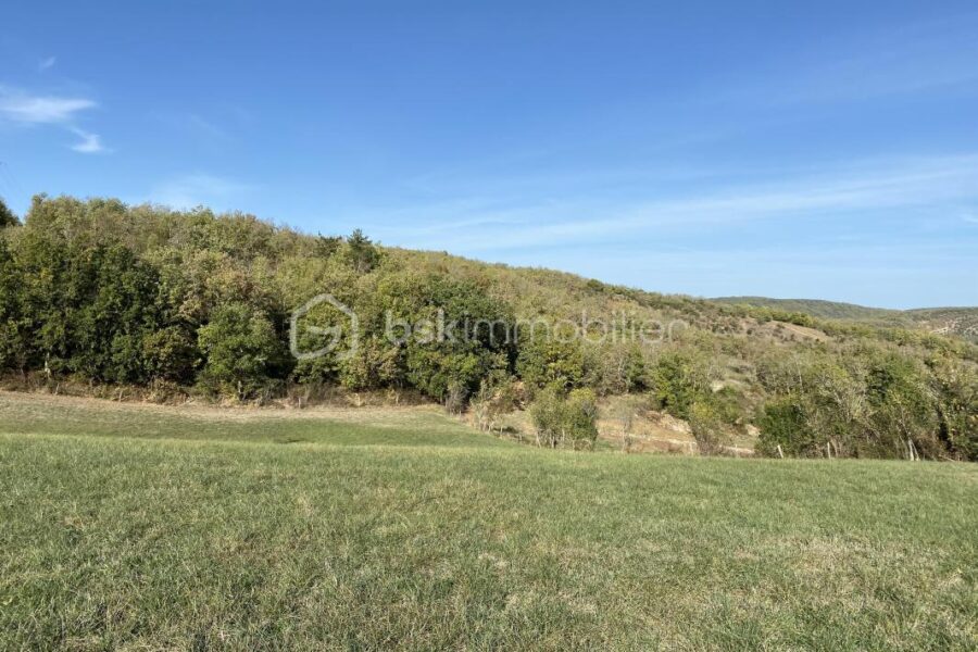 Terrain à vendre à Bruniquel