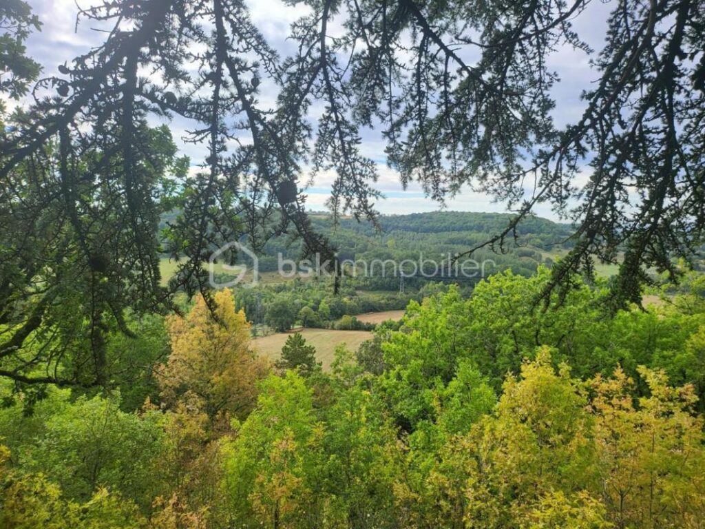 CHATEAU 32 PIECES+DEPENDANCES – PROPRIETE 9 HECTARES – NR pièces – 4 chambres – 919 m²