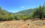Terrain constructible de 1 605 m² – Vue panoramique – Pierrefeu (06910) À seulement 45 minutes de Nice, dans un cadre naturel privilégié – NR pièces – NR chambres – 1605 m²