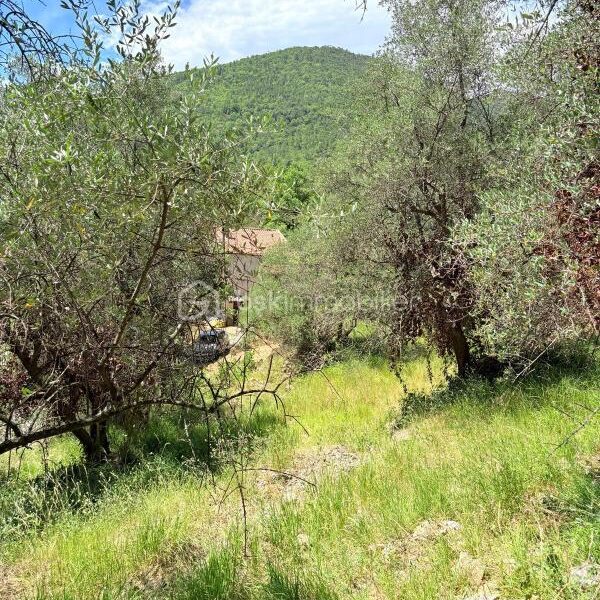 Terrain à vendre à Pierrefeu