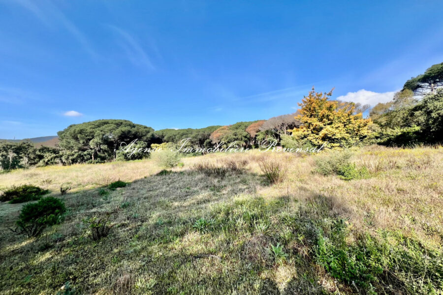 Terrain à vendre à Sainte-maxime