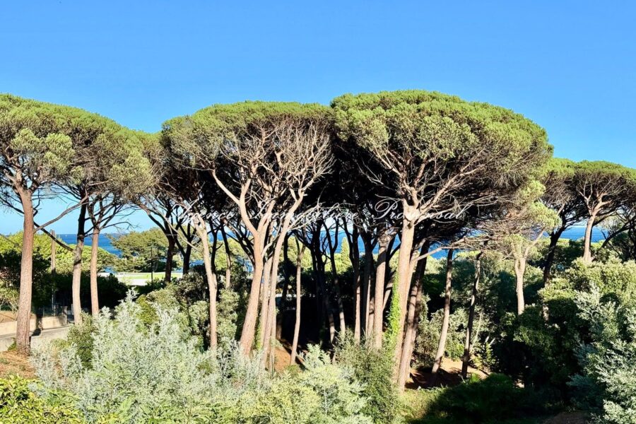 Appartement à vendre à Sainte-maxime