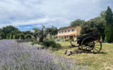 Bastide provençale de charme proche de Gordes avec piscine cha – 7 pièces – 5 chambres – 300.00 m²