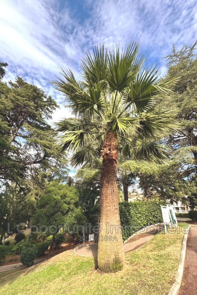 vente appartement 3 Pièce(s) – 3 pièces – 2 chambres – 36.41 m²