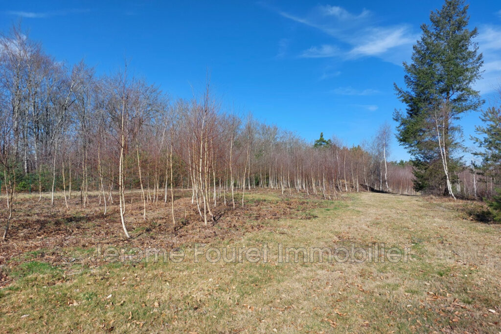 vente maison 2 Pièce(s) – 2 pièces – 1 chambre – 58.00 m²