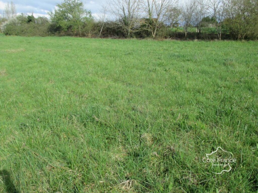 DORDOGNE- TERRAIN A BATIR- BELVES- 24170 – NR pièces – NR chambres – 3000 m²