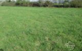 DORDOGNE- TERRAIN A BATIR- BELVES- 24170 – NR pièces – NR chambres – 3000 m²