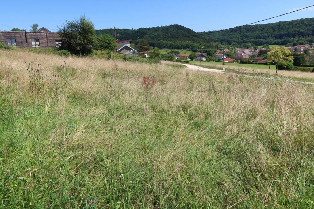 terrain constructible viabilisé – NR pièces – NR chambres – 982 m²