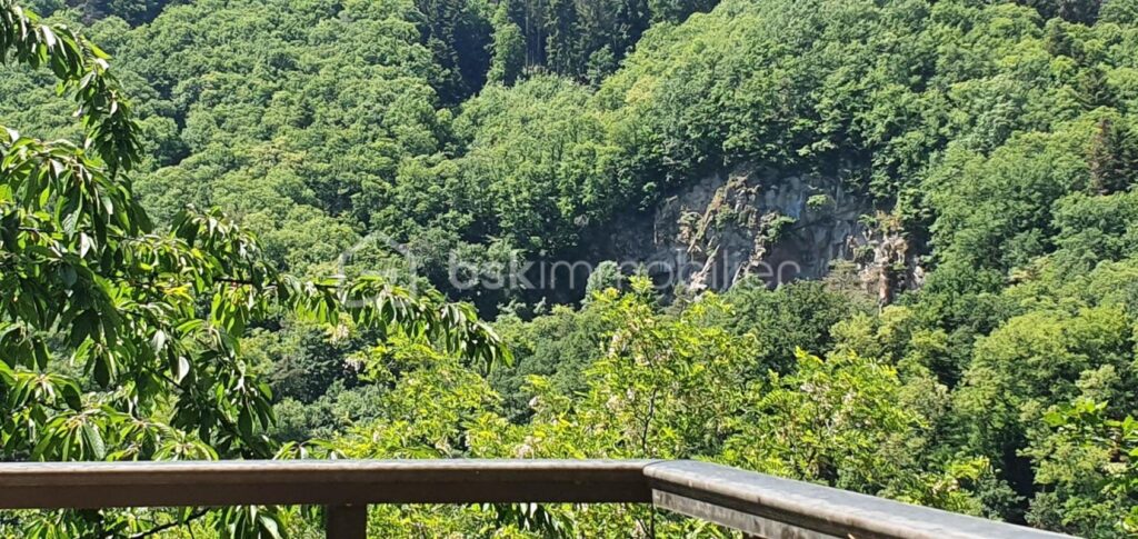 Belle propriété à vendre sur la commune d’Andlau – 7 pièces – 3 chambres – 312 m²