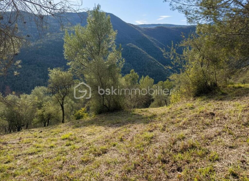 Rare à Pierrefeu : 3 046 m² de nature dont 1 084 m² constructibles, accès direct et étude de sol déjà réalisée – NR pièces – NR chambres – 3046 m²