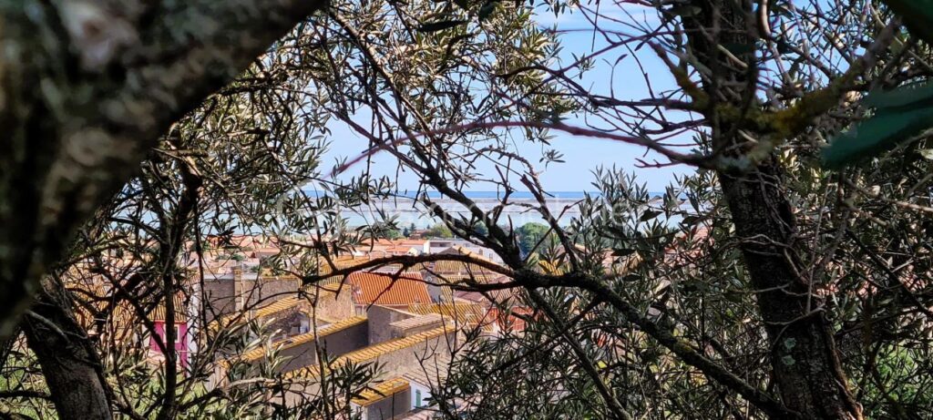 RARE- TERRAIN CONSTRUCTIBLE AVEC VUE++ – NR pièces – NR chambres – 1220 m²