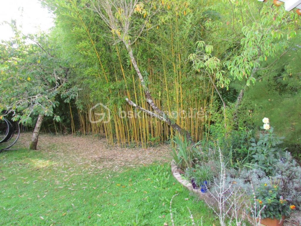 MENSIGNAC (24350) Près PERIGUEUX ,MAISON PERIGOURDINE de 223 m² à COUP DE COEUR !! – 7 pièces – 5 chambres – 223 m²