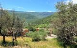 🌿 Terrain constructible – Pierrefeu (06910) 🌿 – NR pièces – NR chambres – 3077 m²