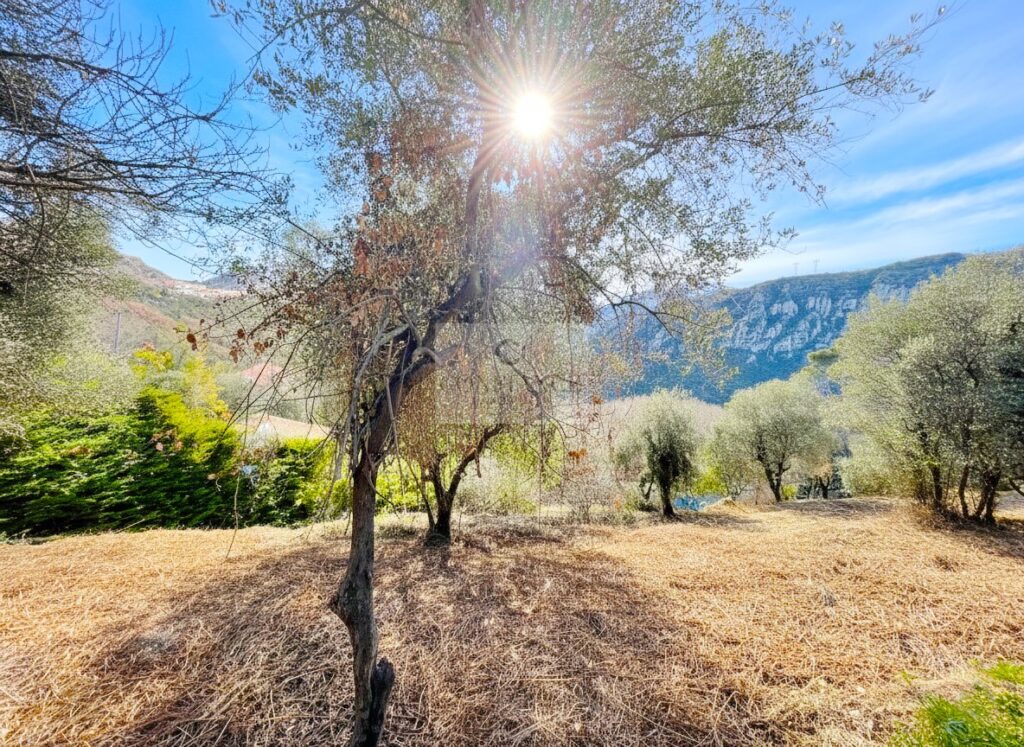 Terrain constructible – NR pièces – NR chambres