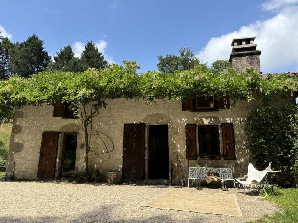 Ancien moulin avec droit d’eau et 2,2 hectares du terrain, C – 7 pièces – 4 chambres – 209 m²