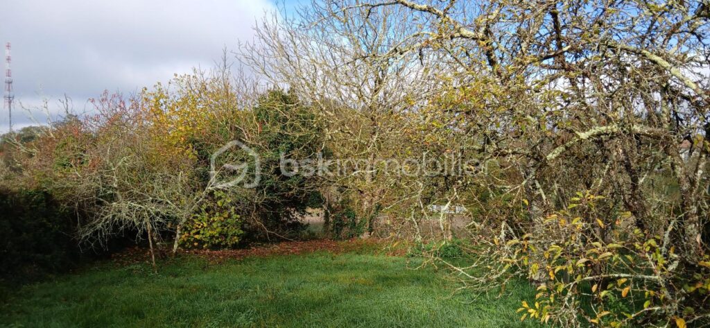 🌿Jolie Périgourdine familiale – 8 pièces – 5 chambres – 130 m²