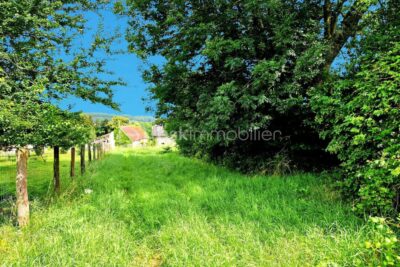 Maison de 150m2 avec dépendances et jardin ! – 5 pièces – 3 chambres – 150 m²