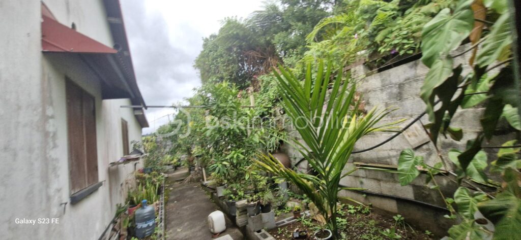 Maison a rénover A PETITE ILE – 4 pièces – 3 chambres – 75 m²