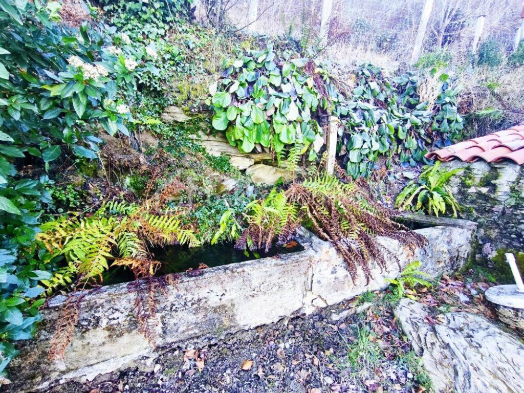 🦌 Sacoué 65370 – Las Aréousos : La bergerie qui murmure au vent 🦌 – 2 pièces – 1 chambre – 40 m²