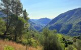 🌿 Terrain constructible 2 126 m² avec permis purgé – Pierrefeu (06) – NR pièces – NR chambres – 2126 m²